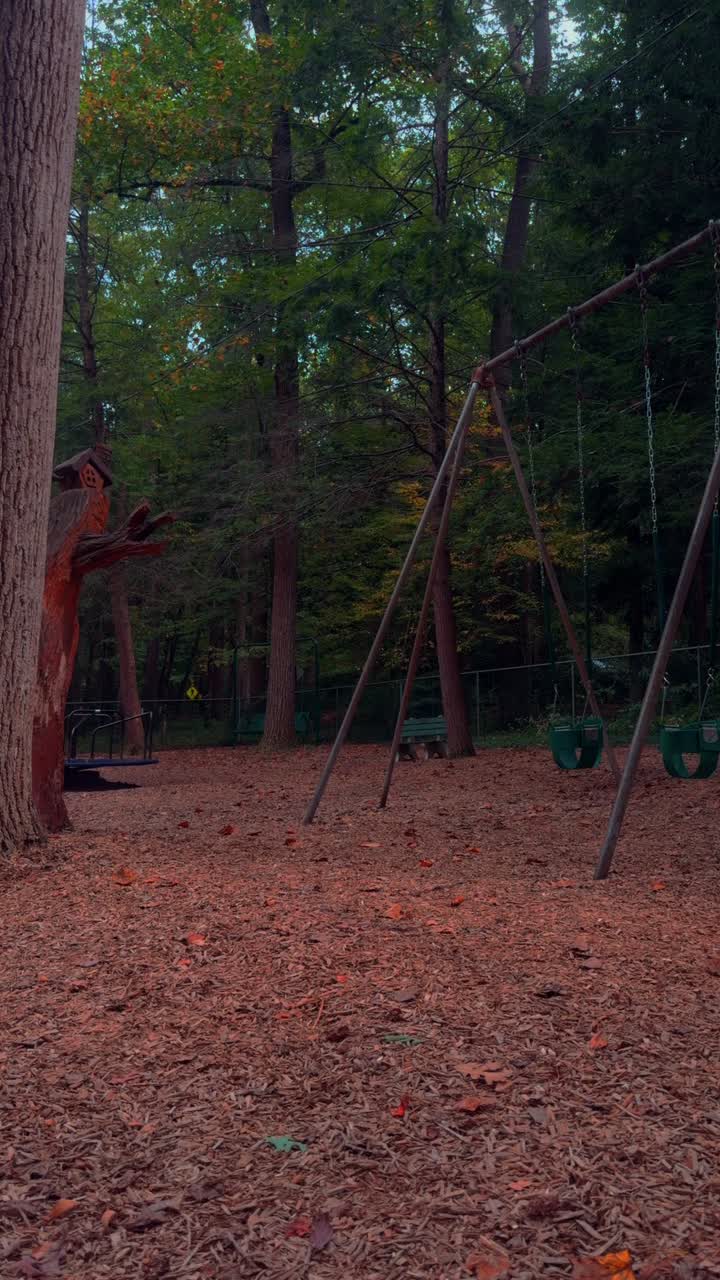 A swing in the park moving back and forth. No people. Fall and autumn colors