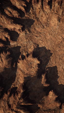 vista aérea de un cañón en el desierto