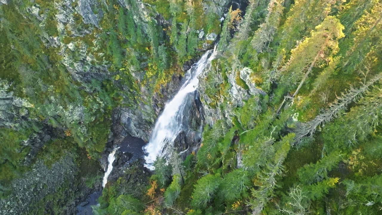 Waterfall In The Heart Of Swedish Forest In Autumn Colors With Sun Rays Passing Through The Fir Trees