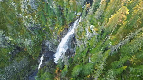 cachoeira no coração da floresta sueca em cores de outono com raios de sol passando pelas abetos