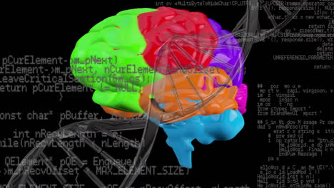 Animation-of-dna-strand,-human-brain-and-data-processing