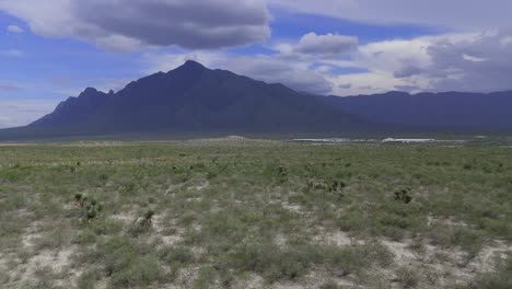 mountain in the middle of the desert with iconic landscapes and cactus everywhere, very remote desert area 4k 60fps