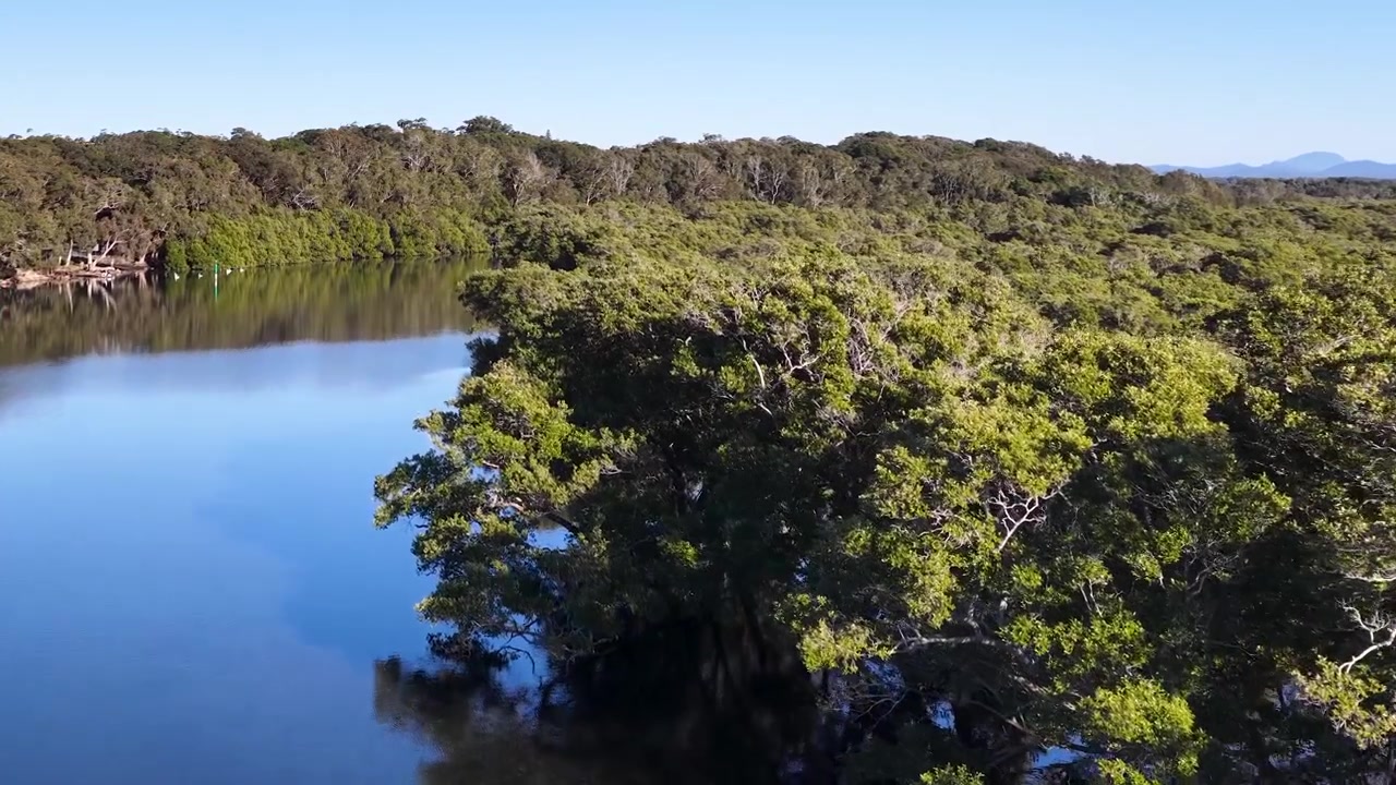 Imágenes de dron capturan un río tranquilo que refleja cielos azules junto a exuberantes manglares en Australia