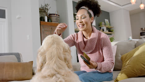 biracial woman petting golden retriever dog using smartphone and credit card at home, slow motion