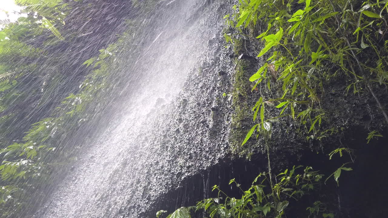 mirando hacia la pequeña caída de agua de la jungla en ubud, bali, indonesia