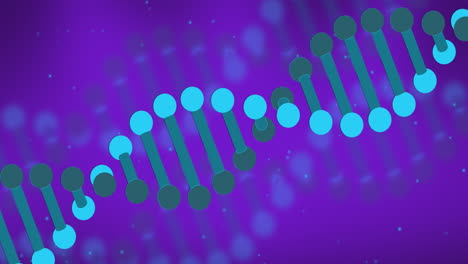 animación de la estructura de adn giratoria y las manchas azules contra un fondo púrpura con espacio de copia