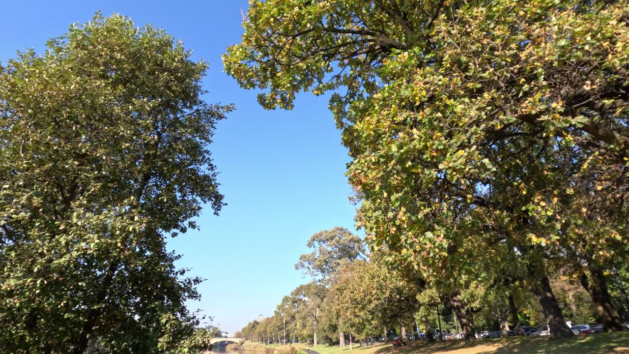 дорога через парк с деревьями и рекой