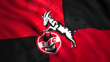 flag of 1. fc köln