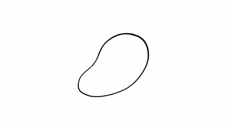 a simple line drawing animation illustrating the growth of a mango with evolving details over 25 seconds