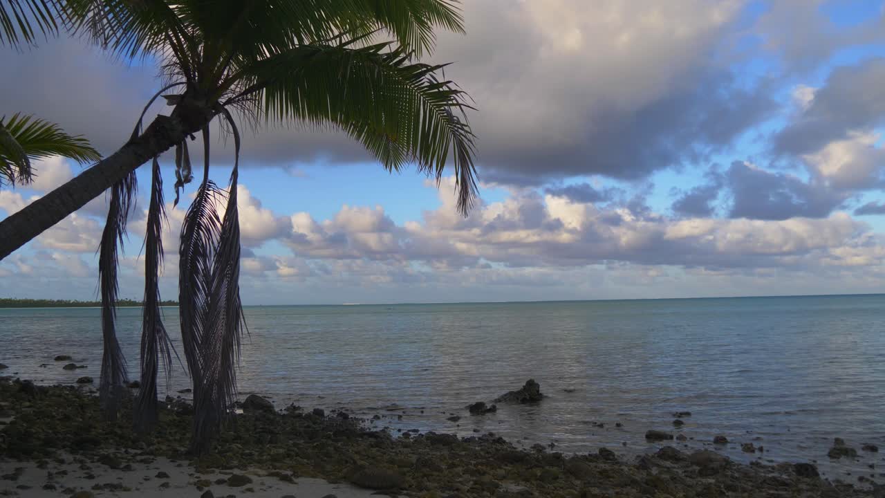 Praia rochosa de ilha tropical com palmeira, céu azul e nuvens brancas