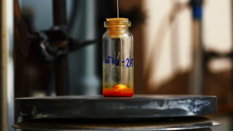 chemical experiment in laboratory setting