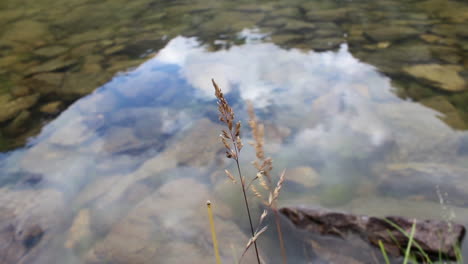 water creek with sky reflect