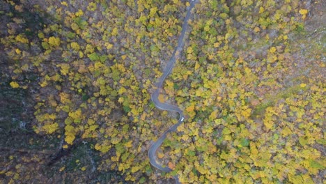 vista aérea de arriba hacia abajo de los vehículos en una carretera rural con curvas en medio del bosque el día de otoño, disparo de drones de gran ángulo