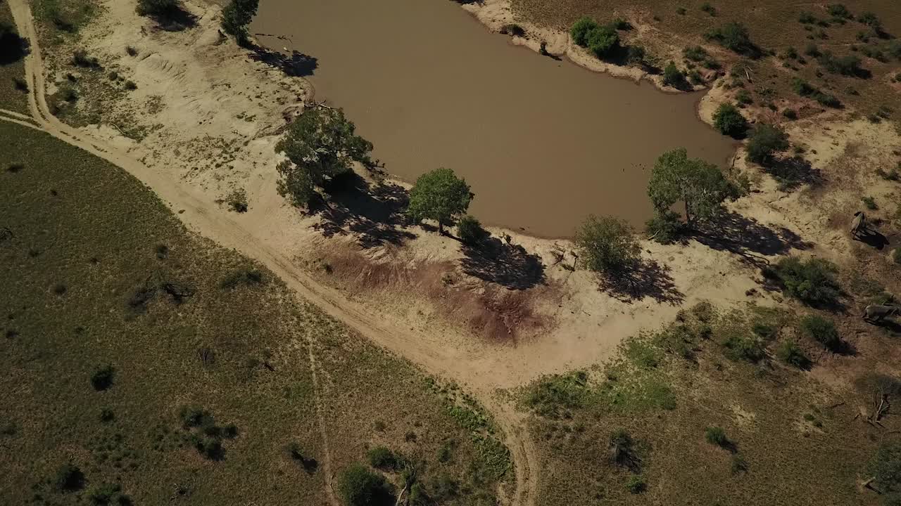 Drone shot of a dam in the african bush with Elephants ing the background