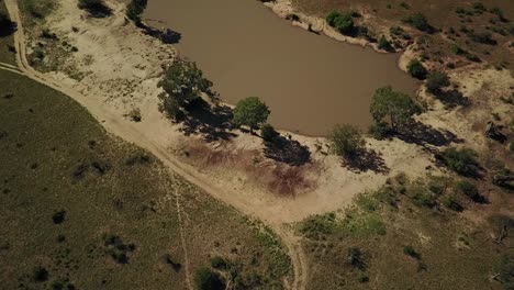 drone shot of a dam in the african bush with elephants ing the background