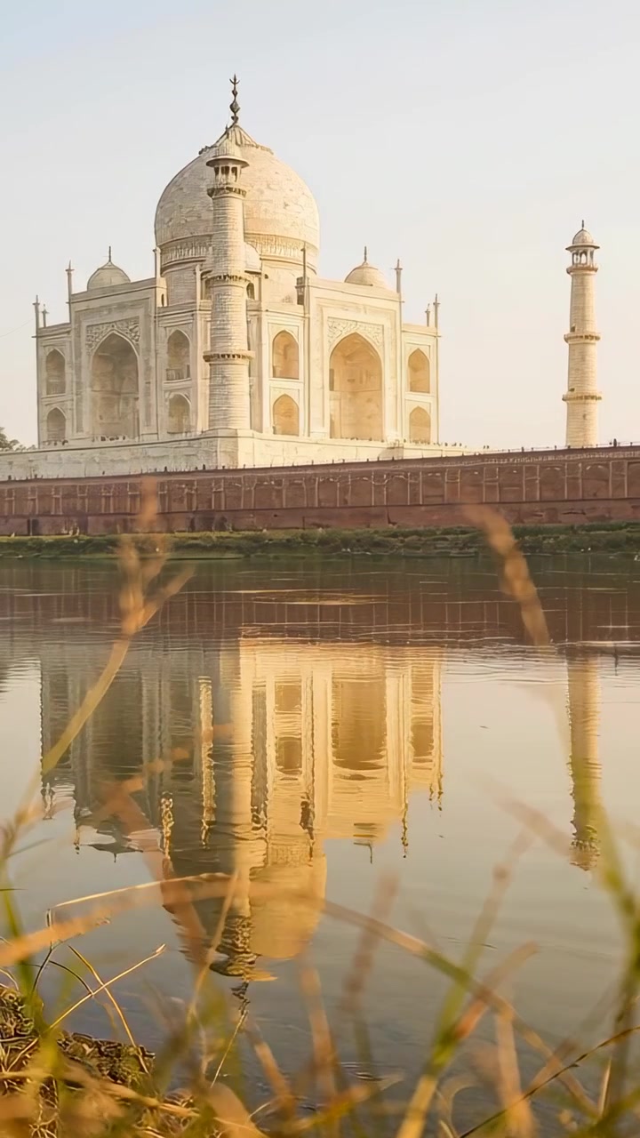 Vidéo verticale : La caméra se déplace pour cadrer le mausolée du Taj Mahal depuis la rivière, montrant son reflet et l'herbe.