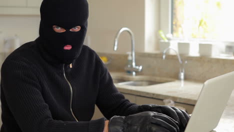 burglar hacking laptop