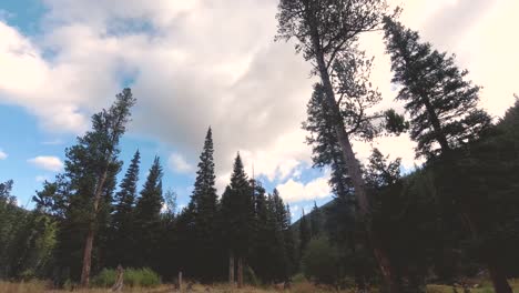 Time-lapse-looking-up-at-clouds-and-peaks-of-mountains-and-pine-trees