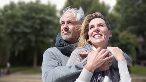 Animation-of-happy-senior-caucasian-couple-embracing-over-park