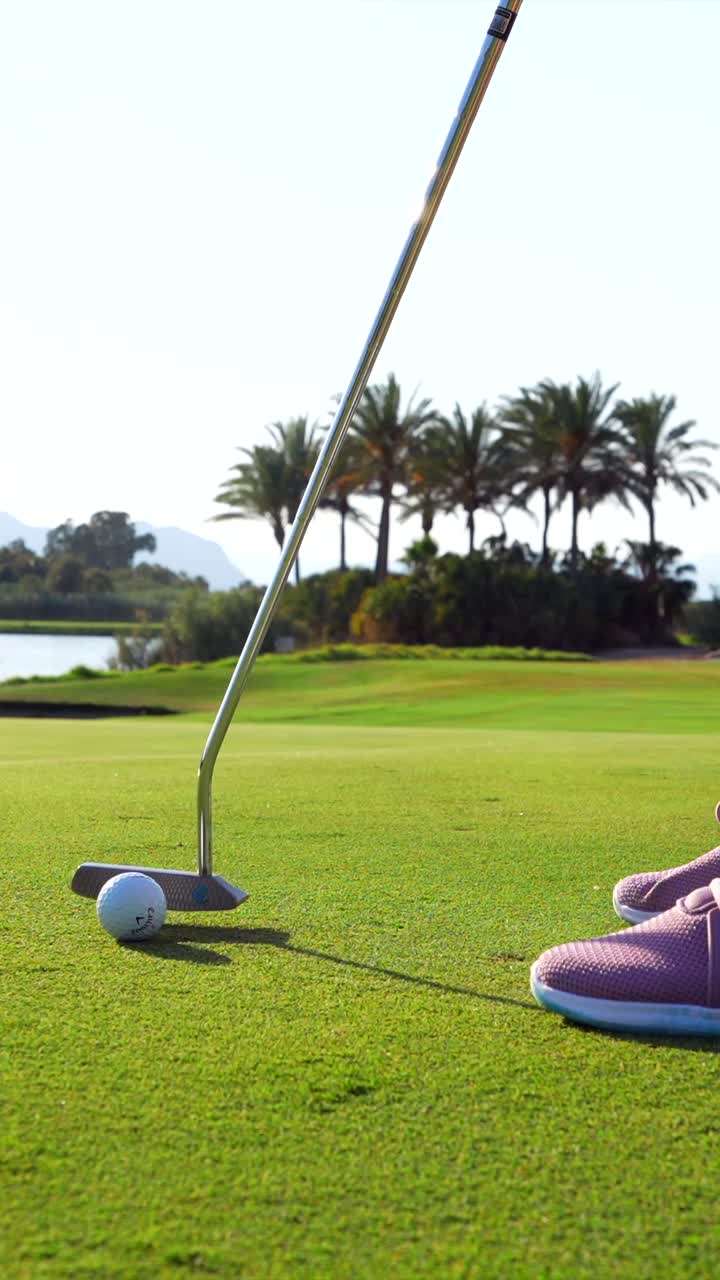 Golf Course with Palm Trees