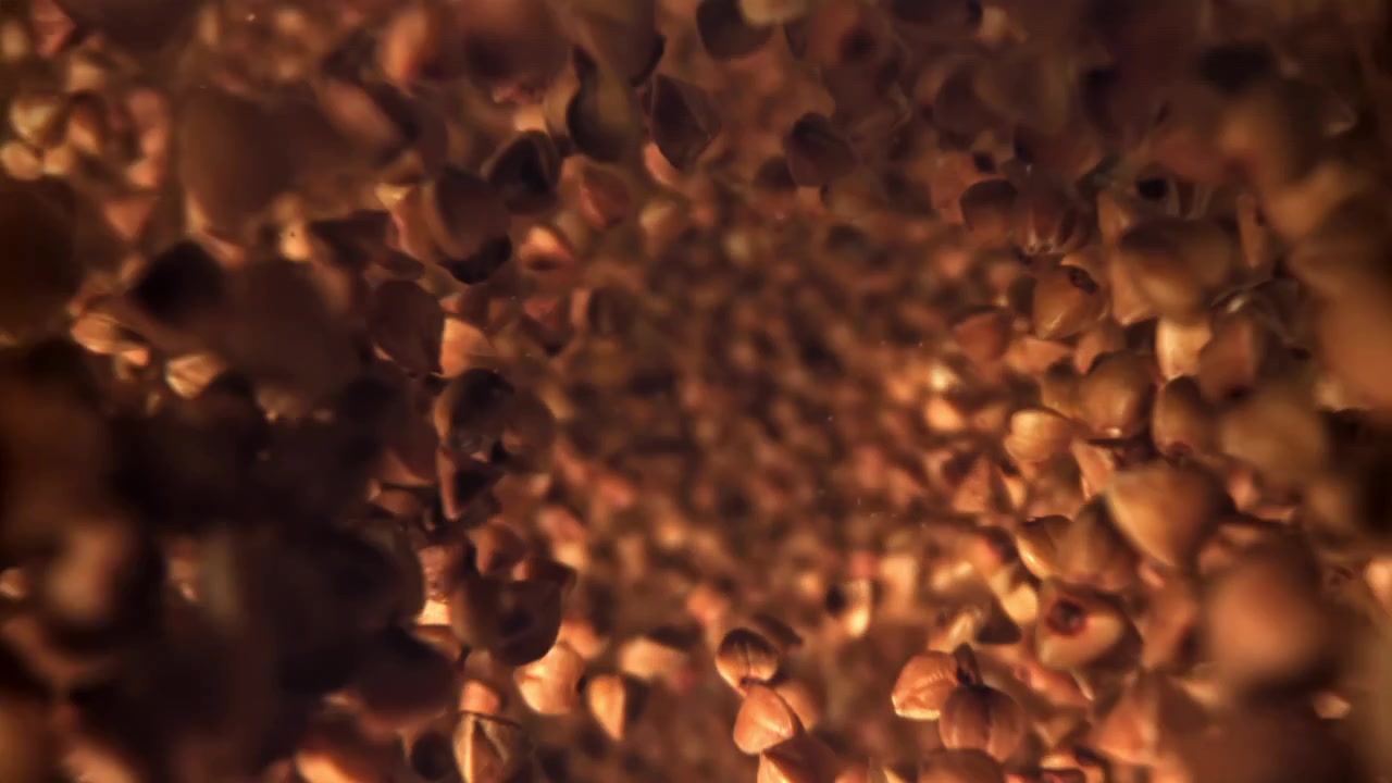 Grani di grano saraceno che cadono e vorticano in slow motion