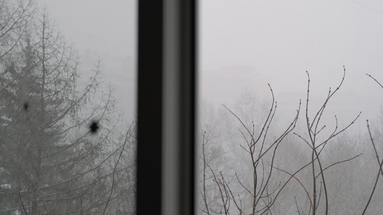 창문 밖에서 눈이 많이 내리는 창문을 통해보고