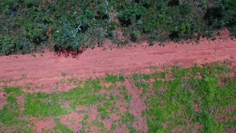 deforested land in the brazilian savannah is susceptible to drought and climate change - overhead straight down view