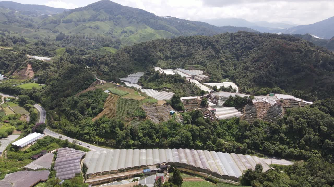 말레이시아의 카메론 하이랜드 지역 내의 브린창 지역의 일반 풍경