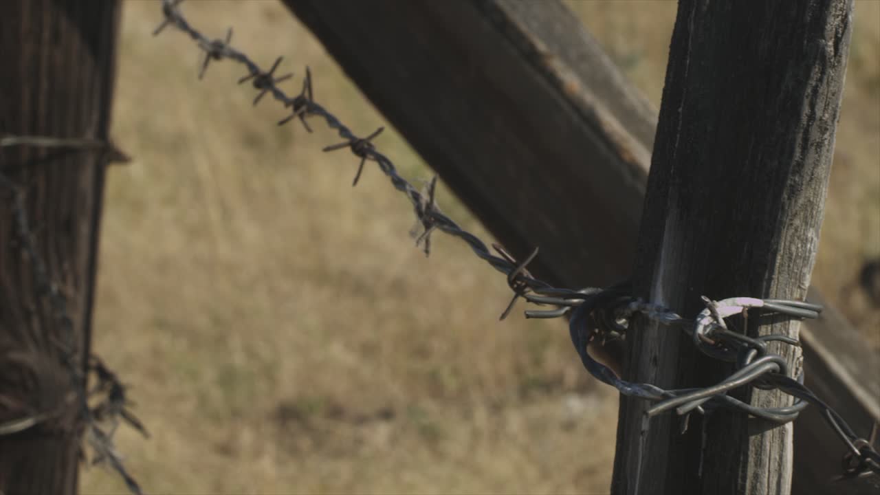 Fence with barbed wire moving in the breeze with dead grass in the background