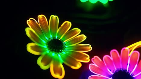 neon flowers