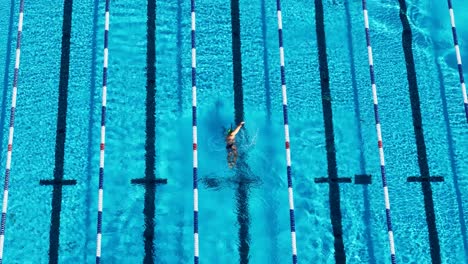 drone captures a swimmer practicing freestyle in a sunlit swimming pool, showcasing rhythmic movement and clear water textures