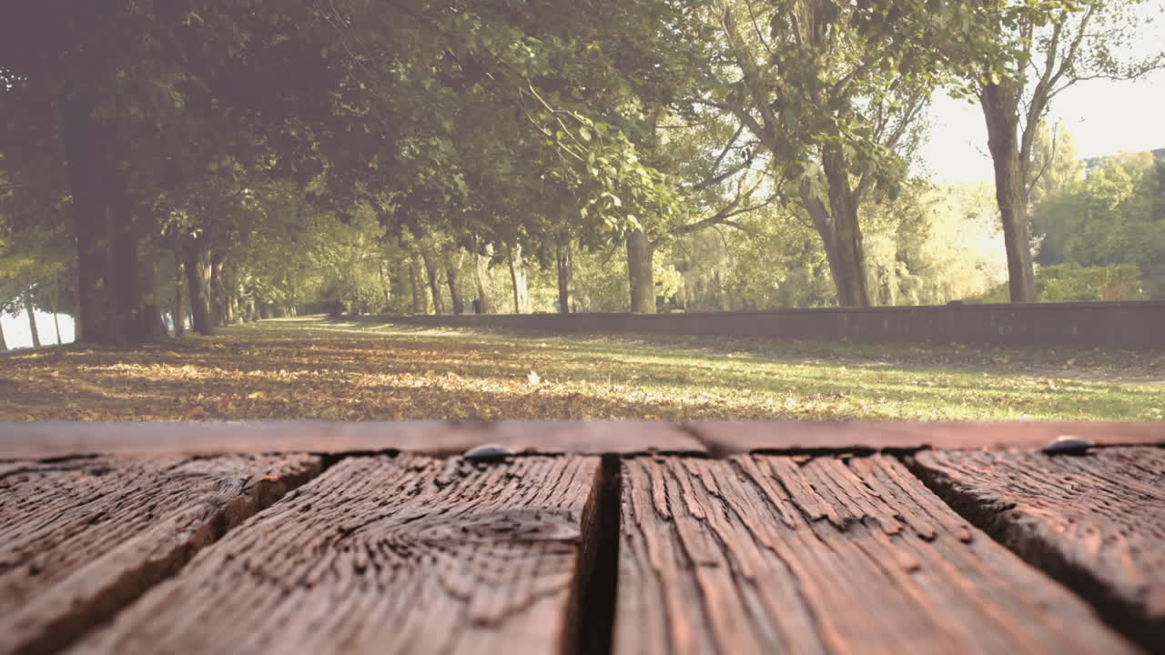 cubierta de madera y una parte