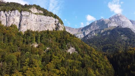 Flying-towards-a-mountain-range-and-fir-forest