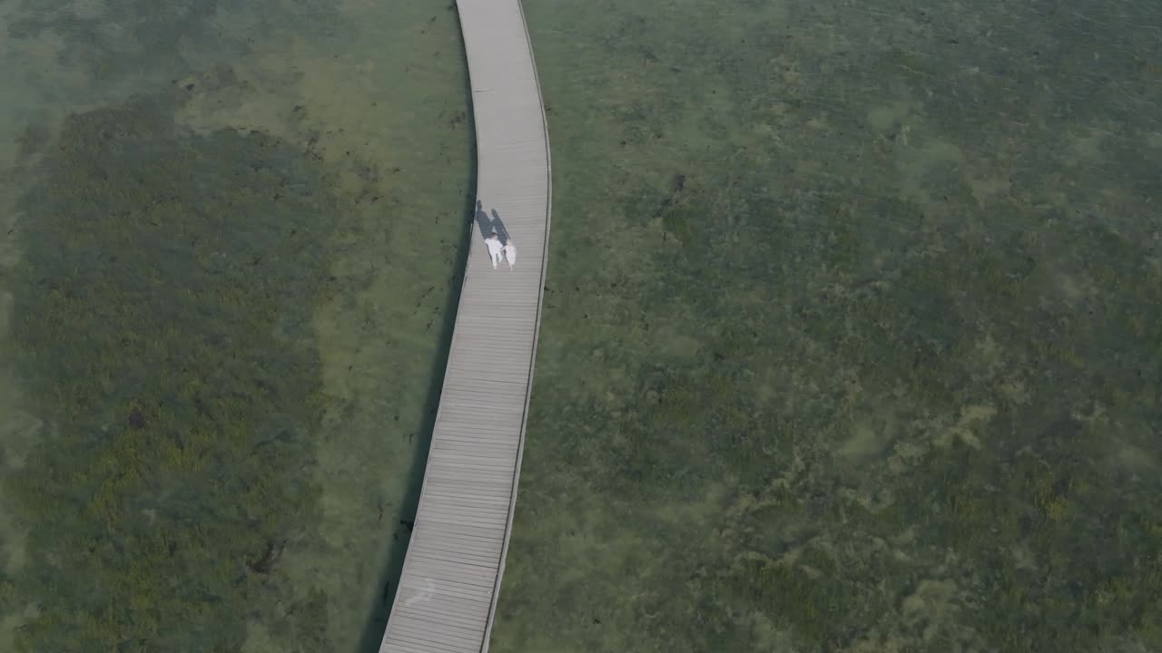 커플 이 바다 에 있는 나무 다리 에서  ⁇ 고 있다