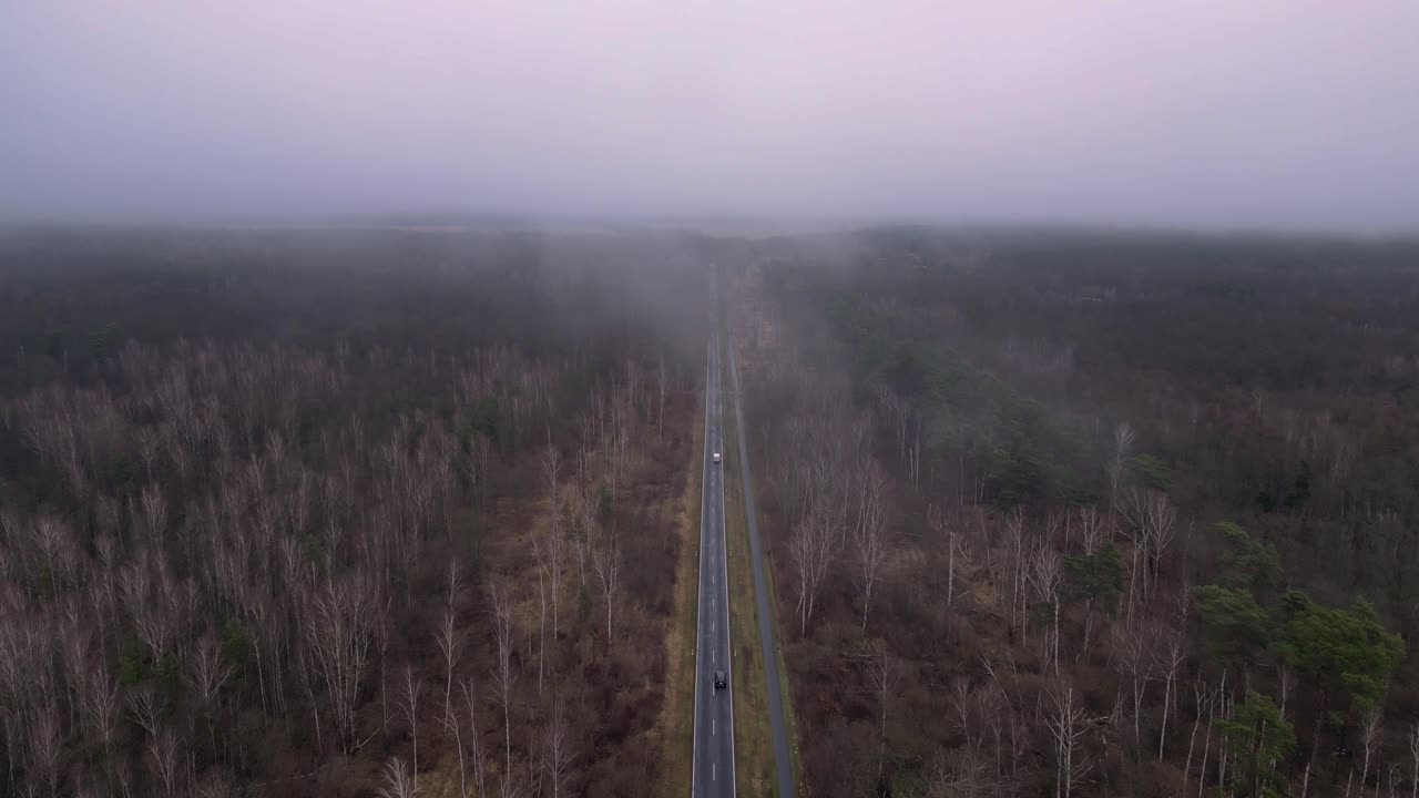 겨울에 안개와 함께 숲을 가로지르는 직선 도로. 아름다운 공중 전망 비행 비행 역 드론