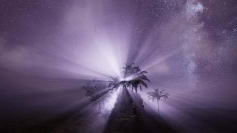 Milky Way Galaxy over Tropical Rainforest.