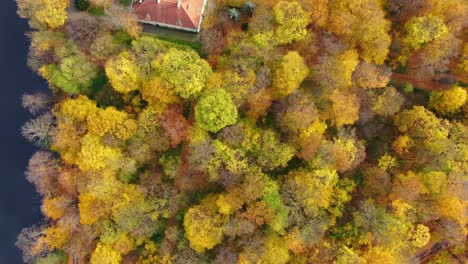 vista aérea de las hermosas aguas verdes y suaves de un lago en un soleado día de otoño