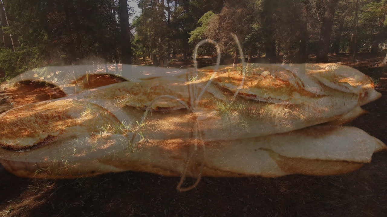 Pizza slice animation over forest path with sunlight filtering through trees
