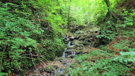 Atemberaubender-Fluss-Mit-Kleinen-Wasserfällen