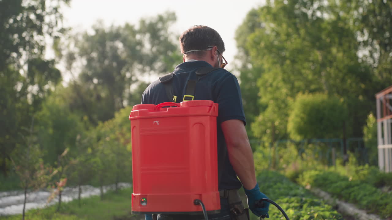 Back view farmer wearing mask and gloves carrying red backpack sprayer fumigating crops on green field with trees in background during sunny day focused on pest control