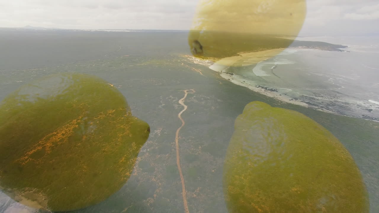 Winding road in animation with translucent lemons overlay in sky, aerial view