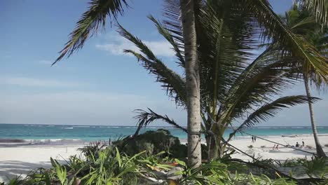 tulum beach video 02