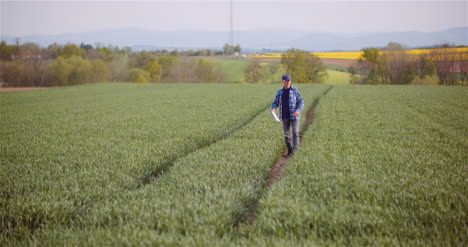 agronomist examining crops and writing notes in clipboard on field 3