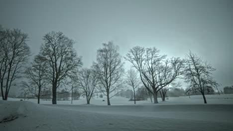 misty landscape with leafless trees from night to dawn in winter