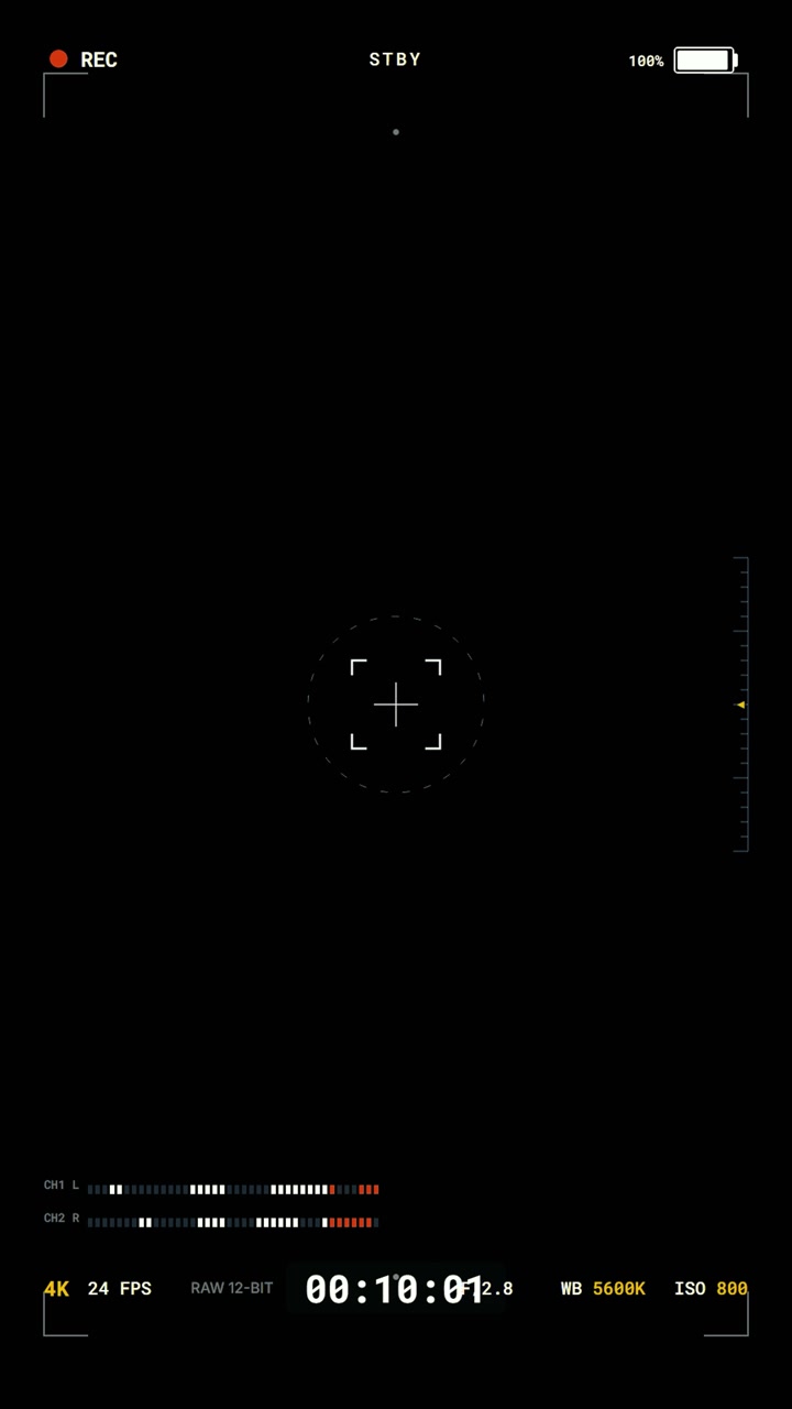 Digital Camera Viewfinder Overlay with Recording Interface