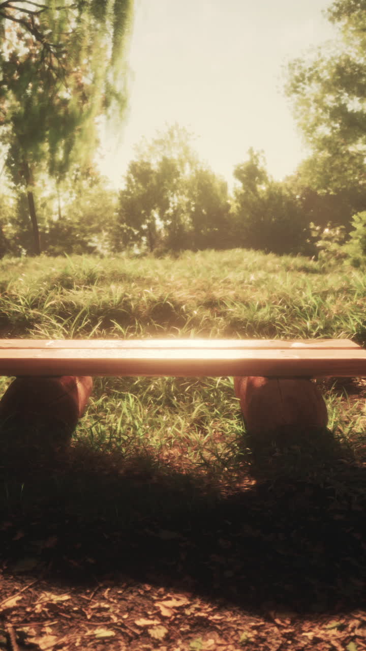 은 날 공원에서 나무 벤치