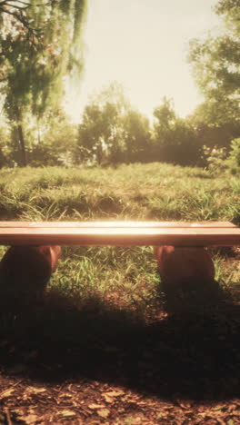 un banco de madera en un parque en un día soleado