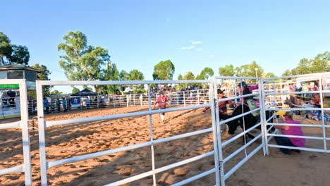 rider attempts to stay on bucking bull