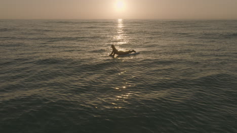 apple prores 422 surfer girl on longboard is watching the sunset sunrise over the atlantic at fuerteventura canary islands