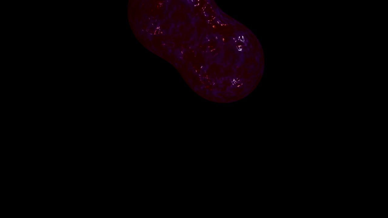 Rapid cell division.